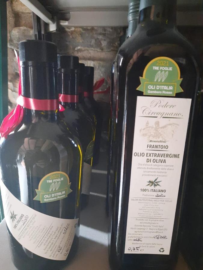 Agriturismo Circugnano Grassina Eksteriør bilde