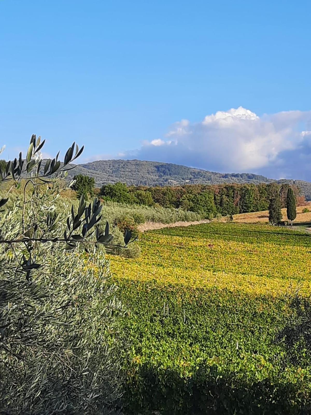 Agriturismo Circugnano Grassina Eksteriør bilde