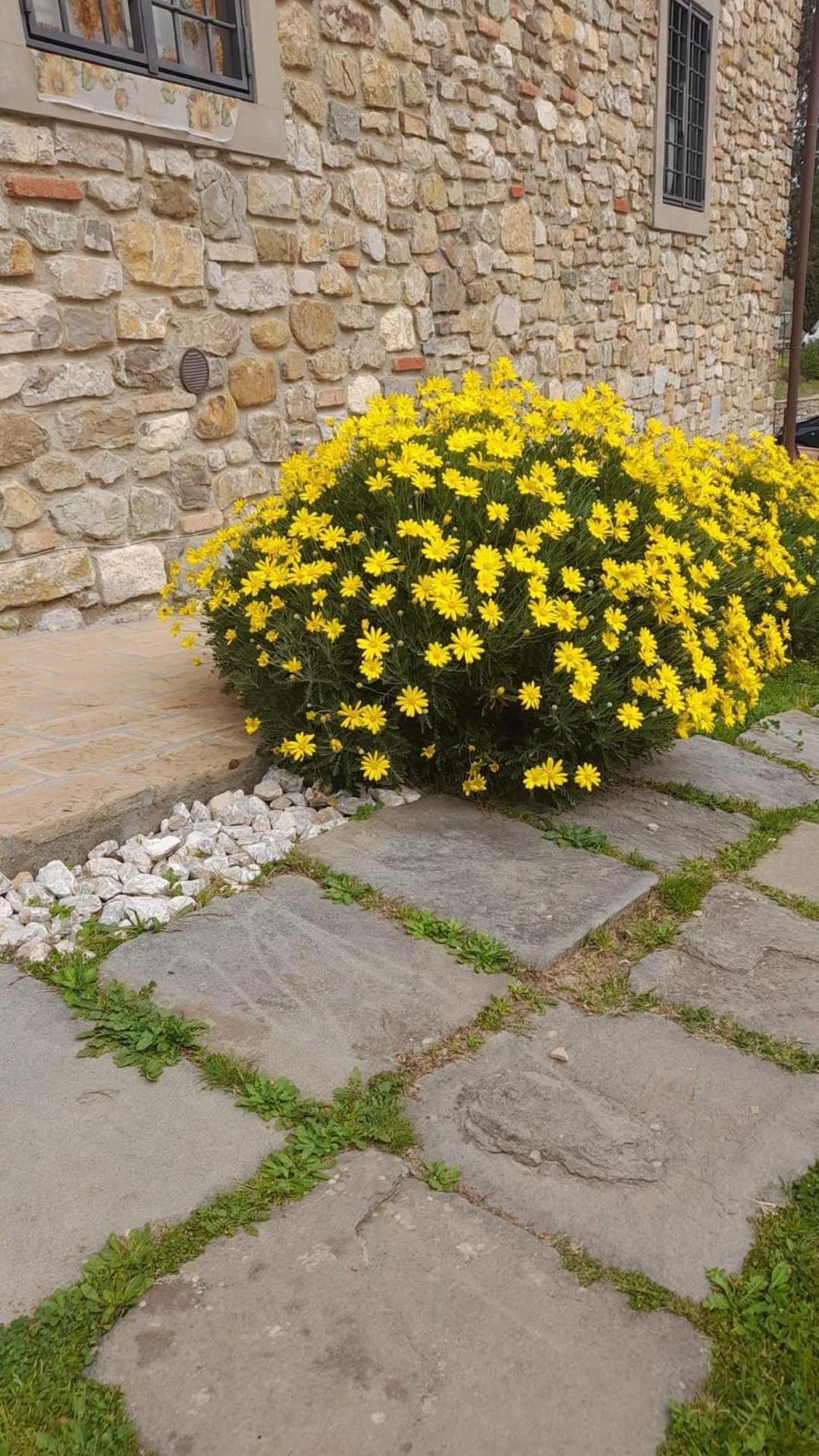 Agriturismo Circugnano Grassina Eksteriør bilde