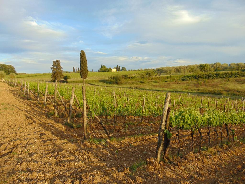 Agriturismo Circugnano Grassina Eksteriør bilde
