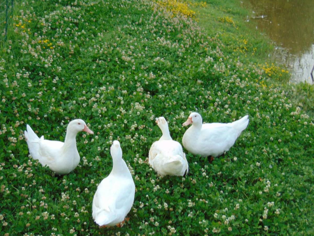 Agriturismo Circugnano Grassina Eksteriør bilde