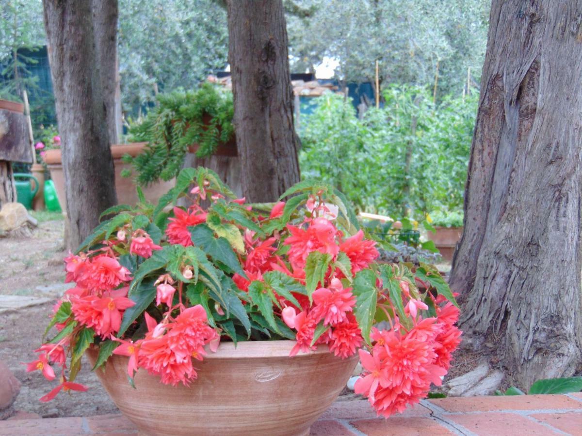 Agriturismo Circugnano Grassina Eksteriør bilde